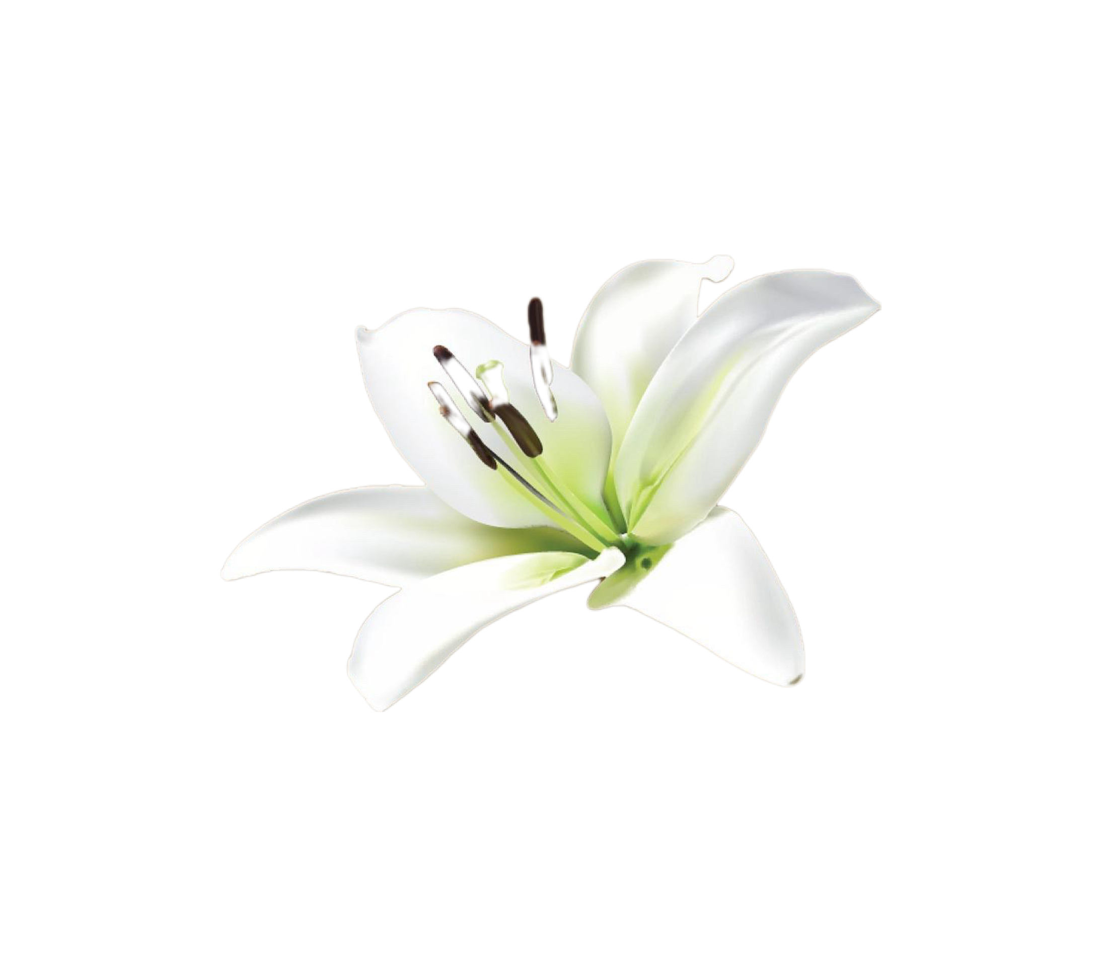 Lucy's Beauty Studio